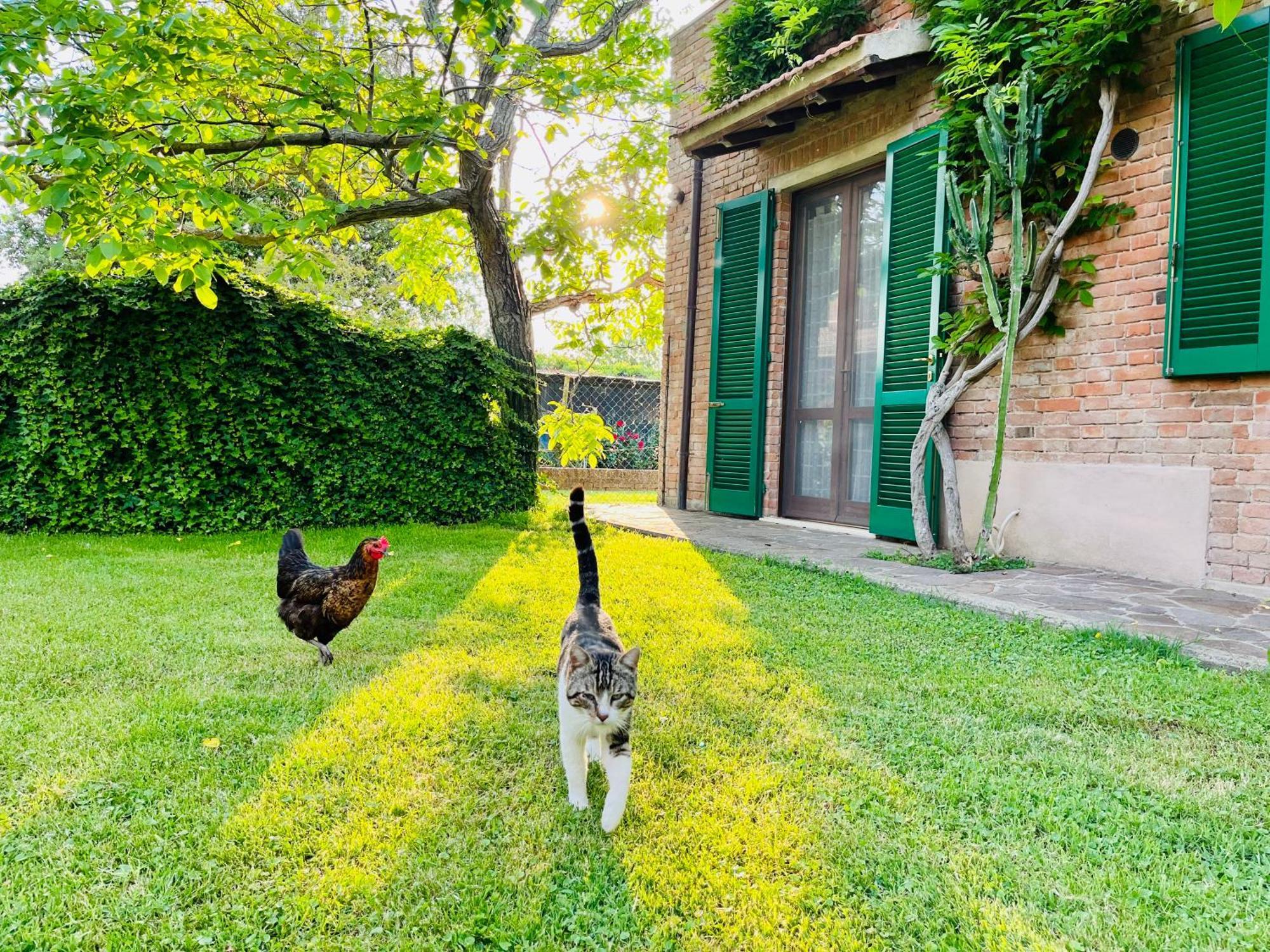 Vila Agriturismo Salcino Grosseto Exteriér fotografie